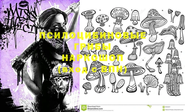 PSILOCYBIN Нея