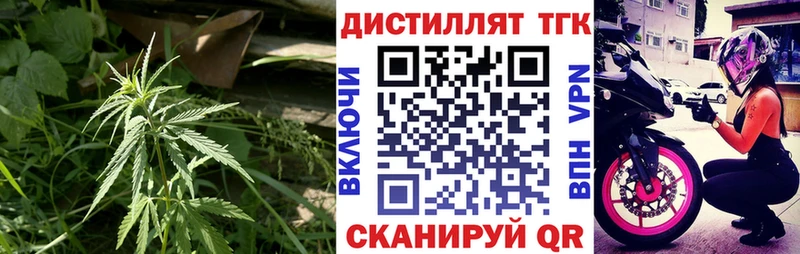 как найти   Хадыженск  ТГК Wax 