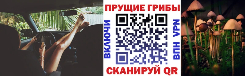 Псилоцибиновые грибы прущие грибы  Хадыженск 
